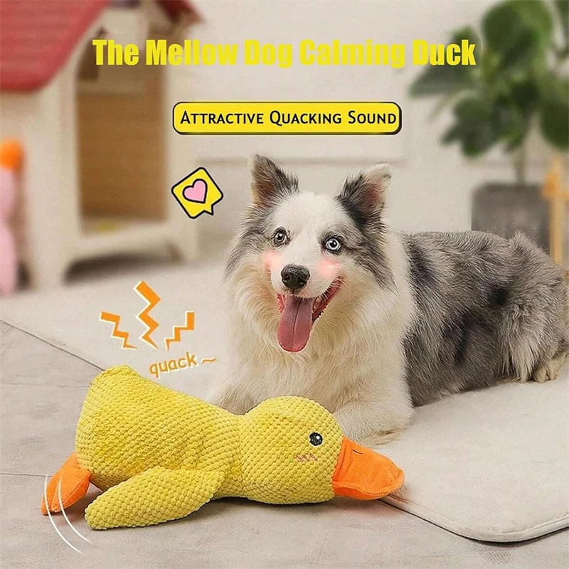 Calming Duck Puzzle Feeder for Dogs & Cats