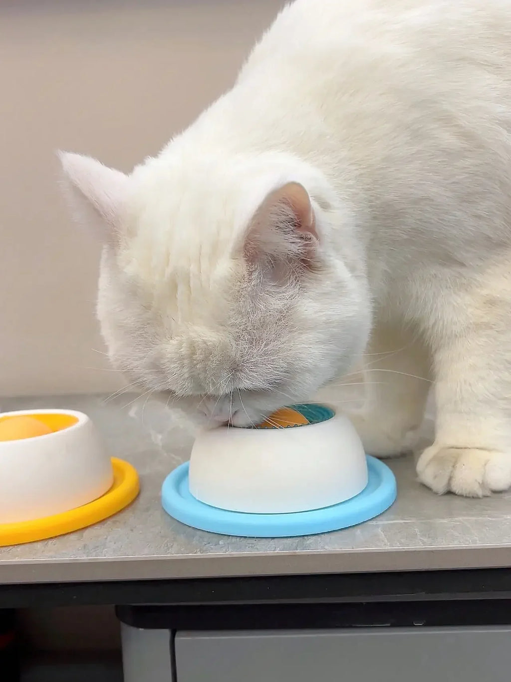 Calming Slow Feeder Lick Mat for Dogs & Cats