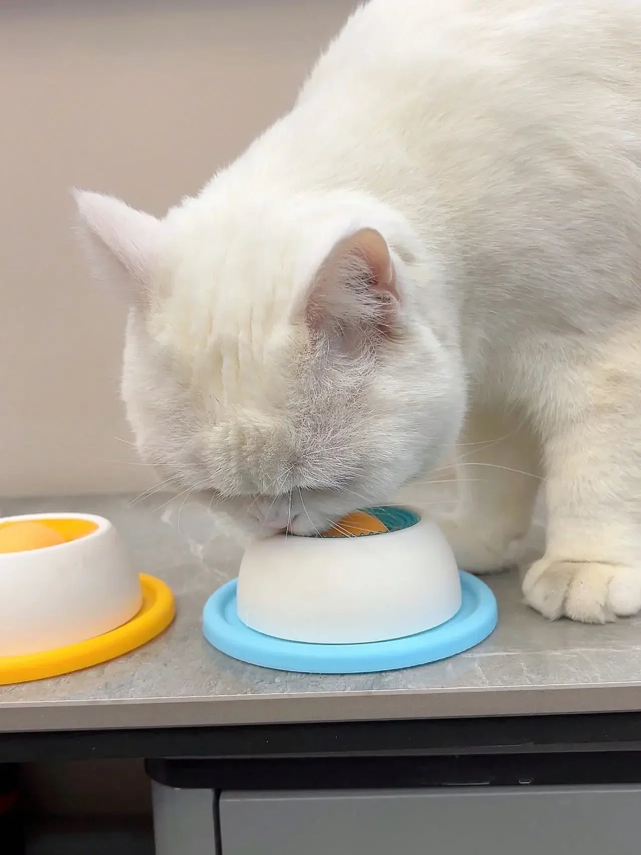 Calming Slow Feeder Lick Mat for Dogs & Cats