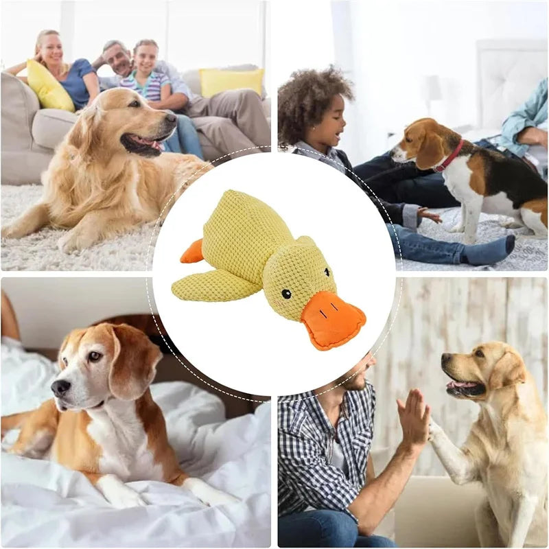 Calming Duck Puzzle Feeder for Dogs & Cats