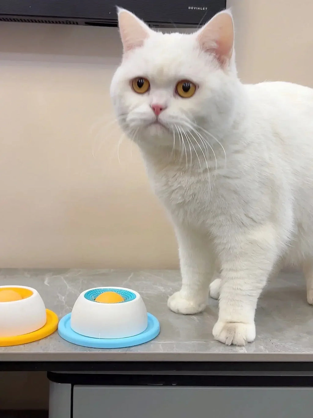 Calming Slow Feeder Lick Mat for Dogs & Cats