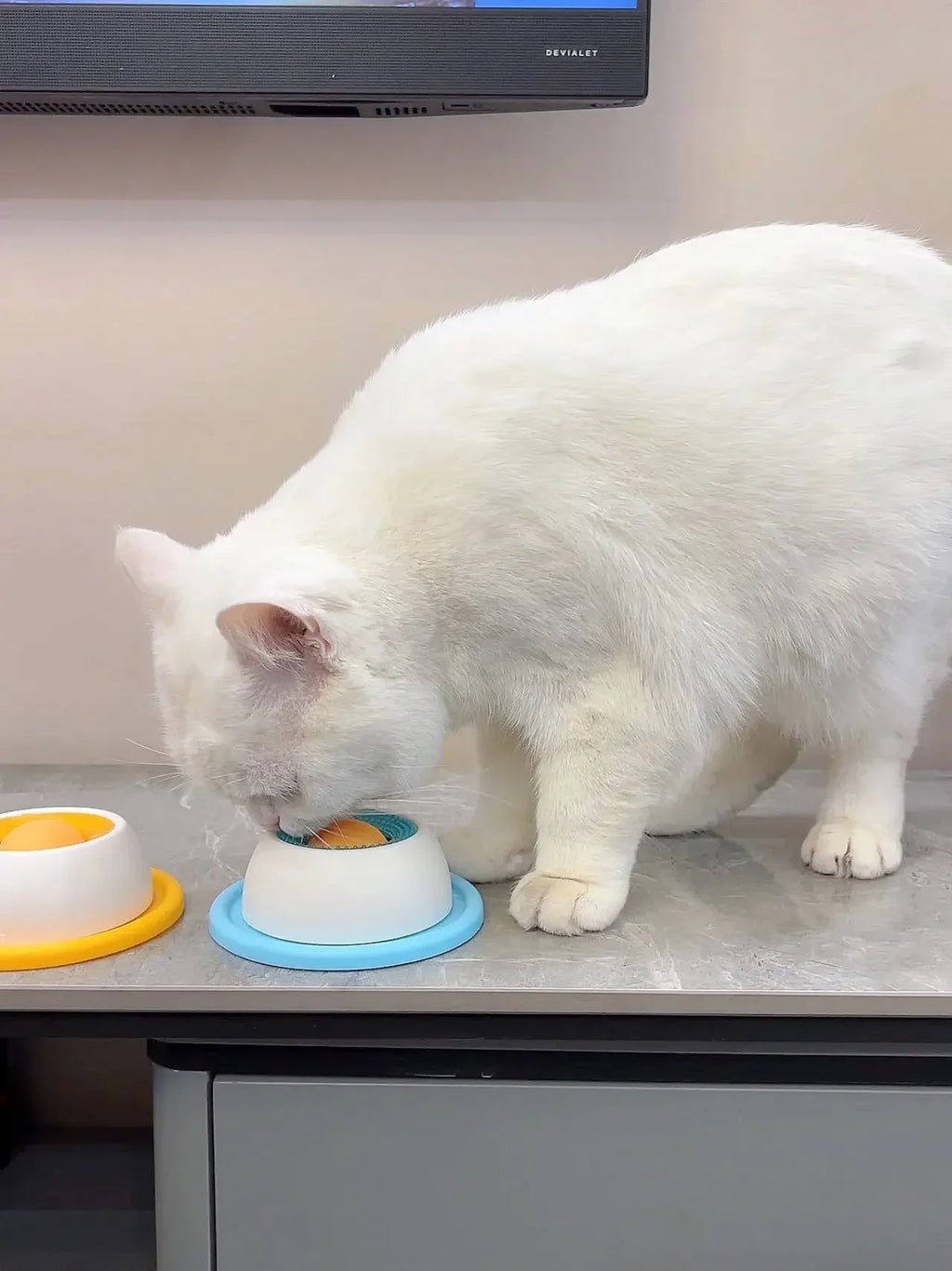 Calming Slow Feeder Lick Mat for Dogs & Cats